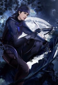 以骑士领主之名
